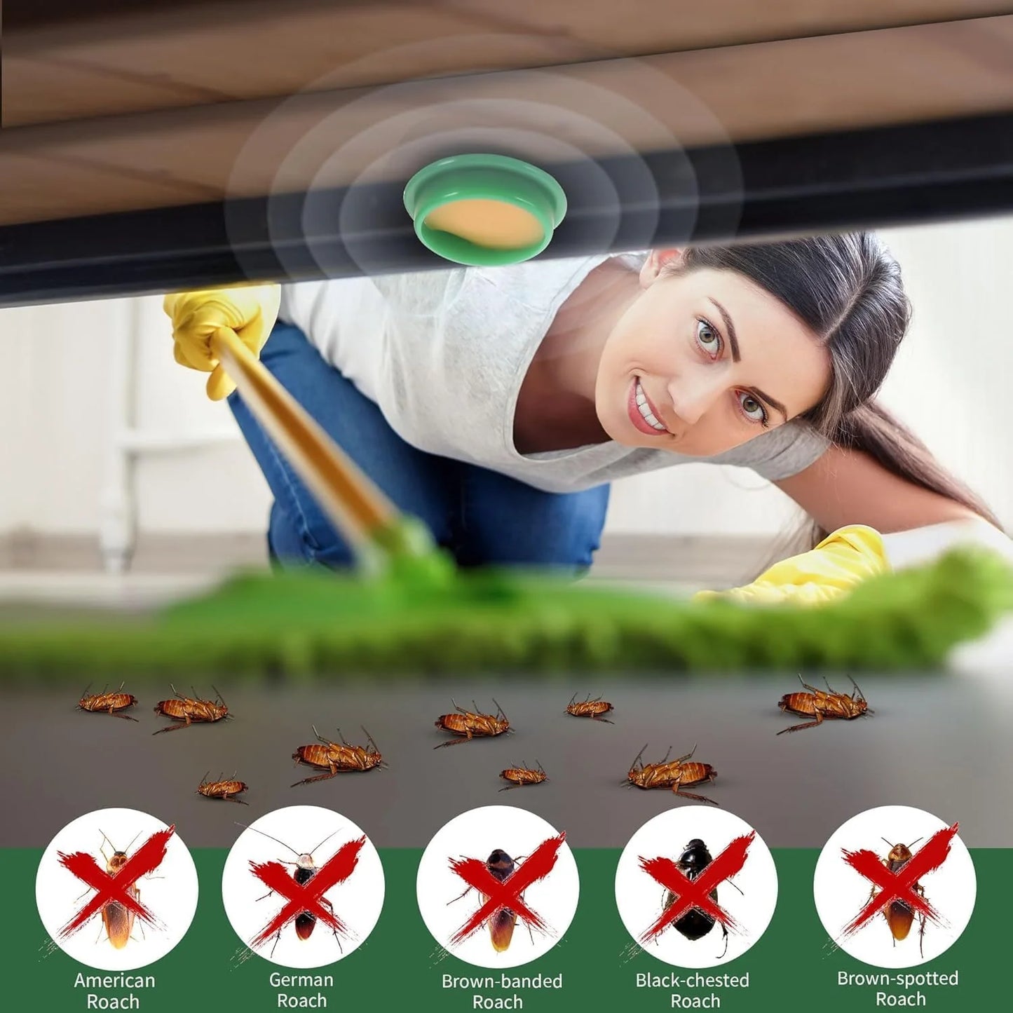 HomeSolve Cockroach Killer Gel (Pack of 24pc)